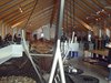 DSCF2008