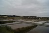 DSC04667